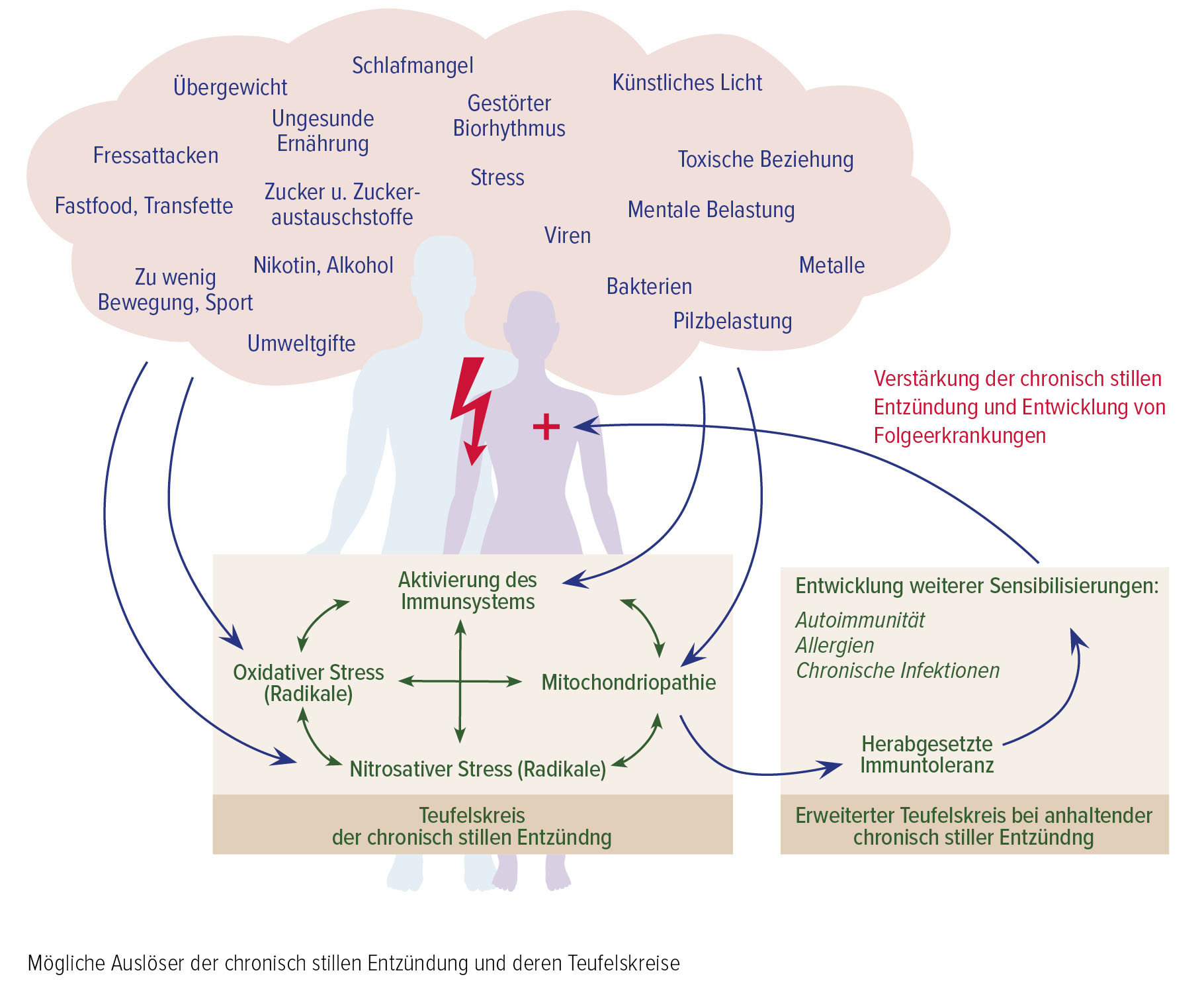 Silent Inflammation: Still und unbemerkt